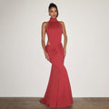 Elegant High Neck Bodycon Long Dress